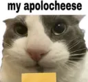 Apolocheese