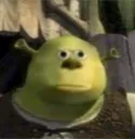 Shrek_Stare