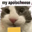 my apolocheese