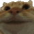 yes
