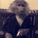 Cigarette Monkey