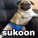 .gg/sukoon_Sukoon_kutta