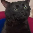 .gg/sukoon_kya_bola_be_