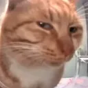 .gg/sukoon_ninja_ka_muh