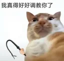 调教你