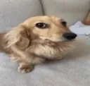 bro..?