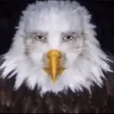 bird man