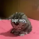 super eepy