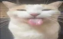 Bleh