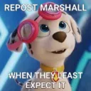 Repost marshall