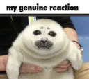 genuine reaction.