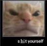 shit yourself