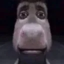 donkey 