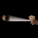 Cat smoke