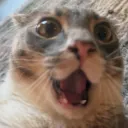 Oh my goodness gracious 