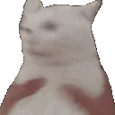 Shake  gg/seductivetwilight