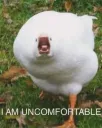 Uncomfortable 