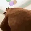 bear twerk