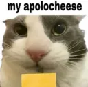 my apolocheese