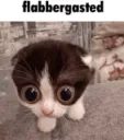 .gg/hmv | flabbergasted