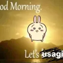 Let's usagi