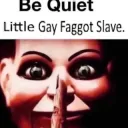 silence vagina haver