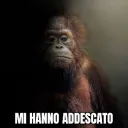 Mi hanno addescato 