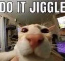 do it jiggle