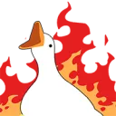 chaos goose