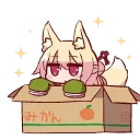 Box Neko
