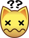 cat confused
