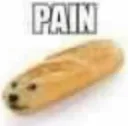 doge pain
