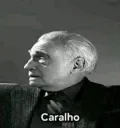 caralhinhos
