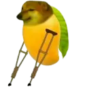 Handicap Mango 🥭 • Langda Aam