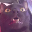 WHATDIDHESAY gg/strayadating 