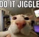 DoItJiggle