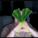 leek