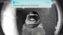 There is motion gorilla