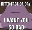 Ditto fact