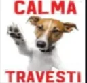 CalmaTravesti