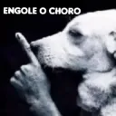 Engole o Choro
