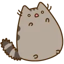 Pusheen shock