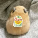 Keine Ahnung was das ist