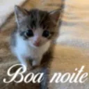 boa noite 