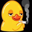duck smoke