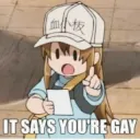 U are gay 
