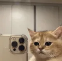 catphone