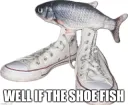 well if the shoe fish