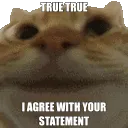 Agreed__gg_samatvahangouts