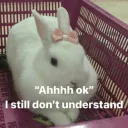 dontunderstand